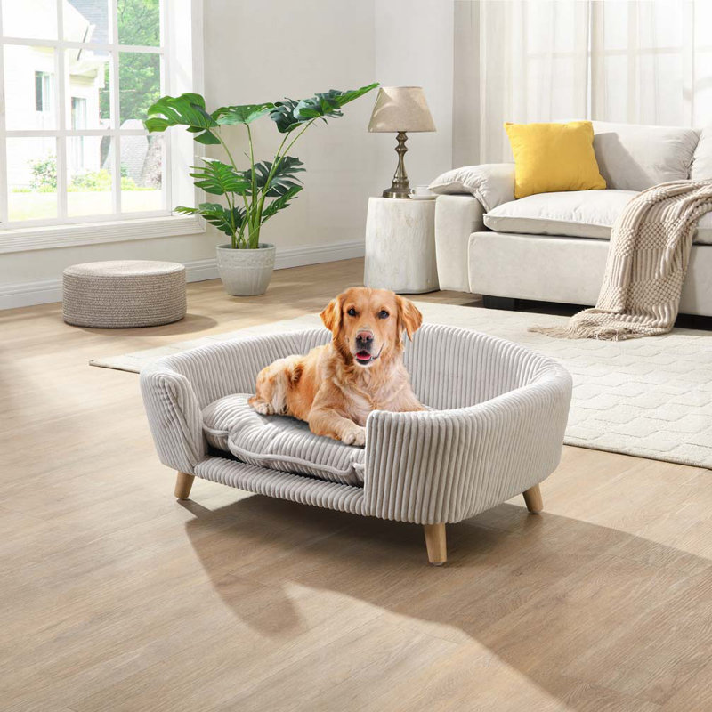 Archie & Oscar™ Jagger Corduroy Upholstered Dog Bed Sofa With